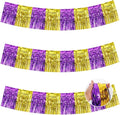 BEISHIDA Purple Gold Fringe Garland Banner 30ft Wall Tinsel Foil Streamers | by Beishida
